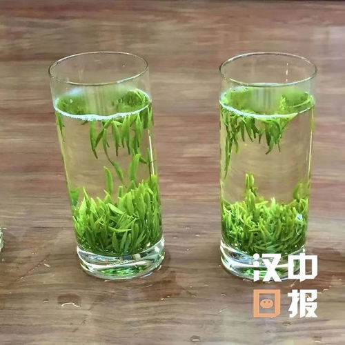 厲害了 漢中這個(gè)產(chǎn)業(yè)西北第一