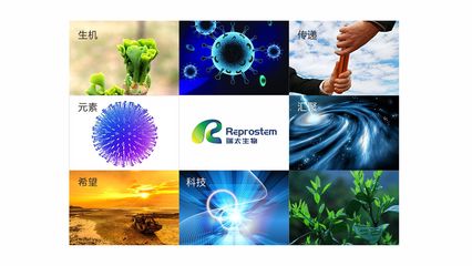 瑞太生物科技 推動(dòng)生物技術(shù)創(chuàng)新，引領(lǐng)健康未來(lái)