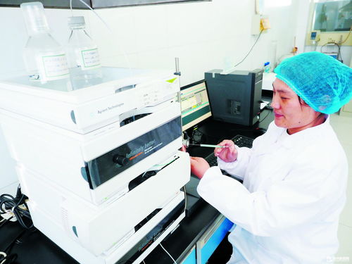 德州瑞康生物科技 深耕研發，高端產品暢銷海外